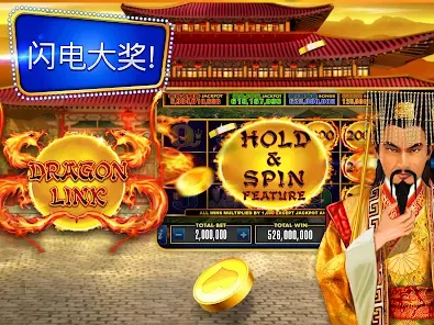 Live Dealer Table Experience